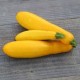 Courgettes jaunes les 500 gr