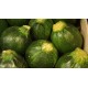 Courgettes rondes vertes le kilo