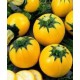 Courgettes rondes jaunes le kilo