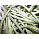 Haricots marbrés la livre