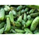 Cornichons (petits/moyens) le kilo