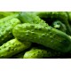 Cornichons (gros) le kilo