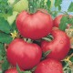 Tomates Rose de Berne le kg