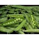petits pois les 500 gr
