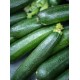 Courgettes vertes les 500 gr