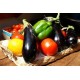 Essentiel de la Ratatouille