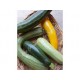 courgettes longues mix