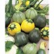 Courgettes rondes mix