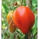 Tomate Coeur de Boeuf P8 par 6