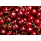 Cerises production française les 500 gr