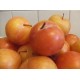 Prunes Sun les 500 gr
