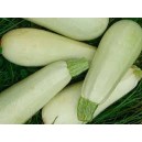 Courgettes Blanches les 500 gr