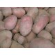 pommes de terre rosabelle les 5 kgs