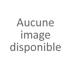 Primevère à l'unité, mélange varié